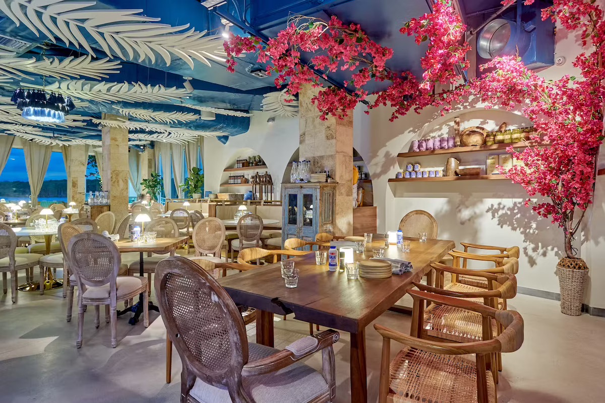 The Rise of Greek Cuisine in South Florida blog hero