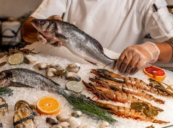 Savor Tradition, Flavor, and Warmth: A Taste of Greece in Sunny Isles homepage