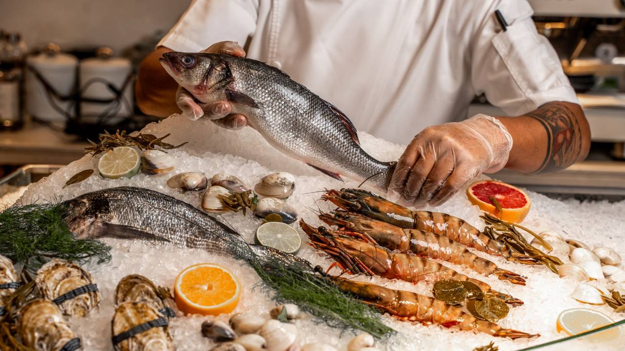 Savor Tradition, Flavor, and Warmth: A Taste of Greece in Sunny Isles blog hero
